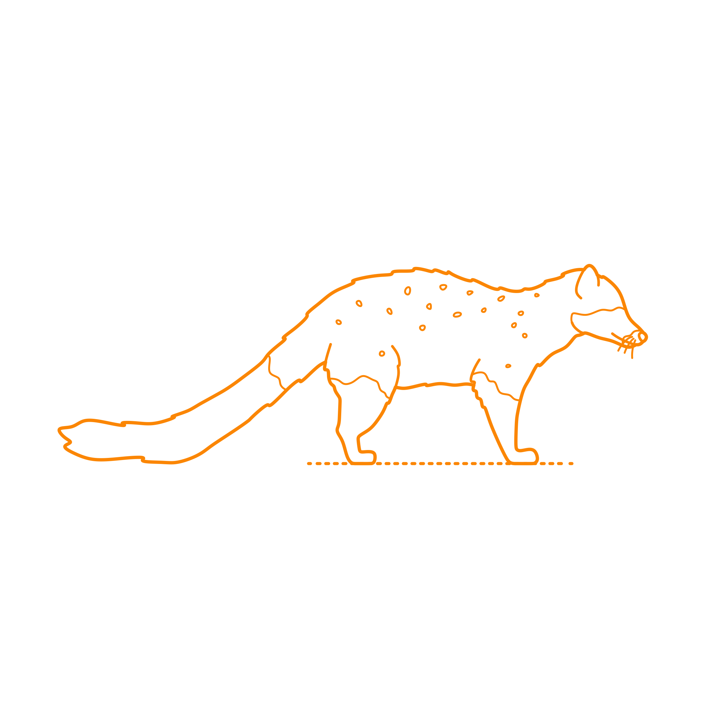 Animals Viverrids Asian Palm Civet Line Art Svg Vector Free Vectors